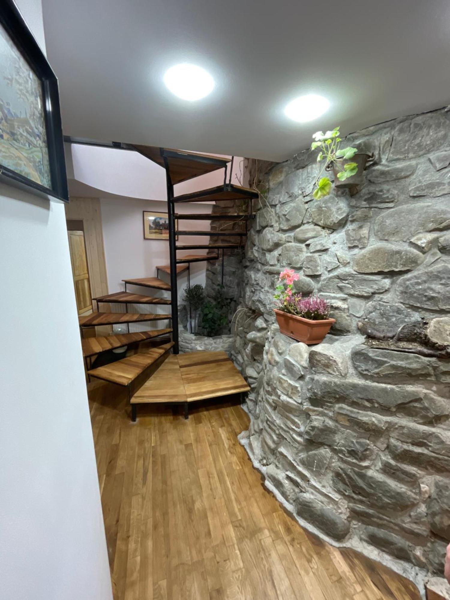 Guest house Cedru - Catun *