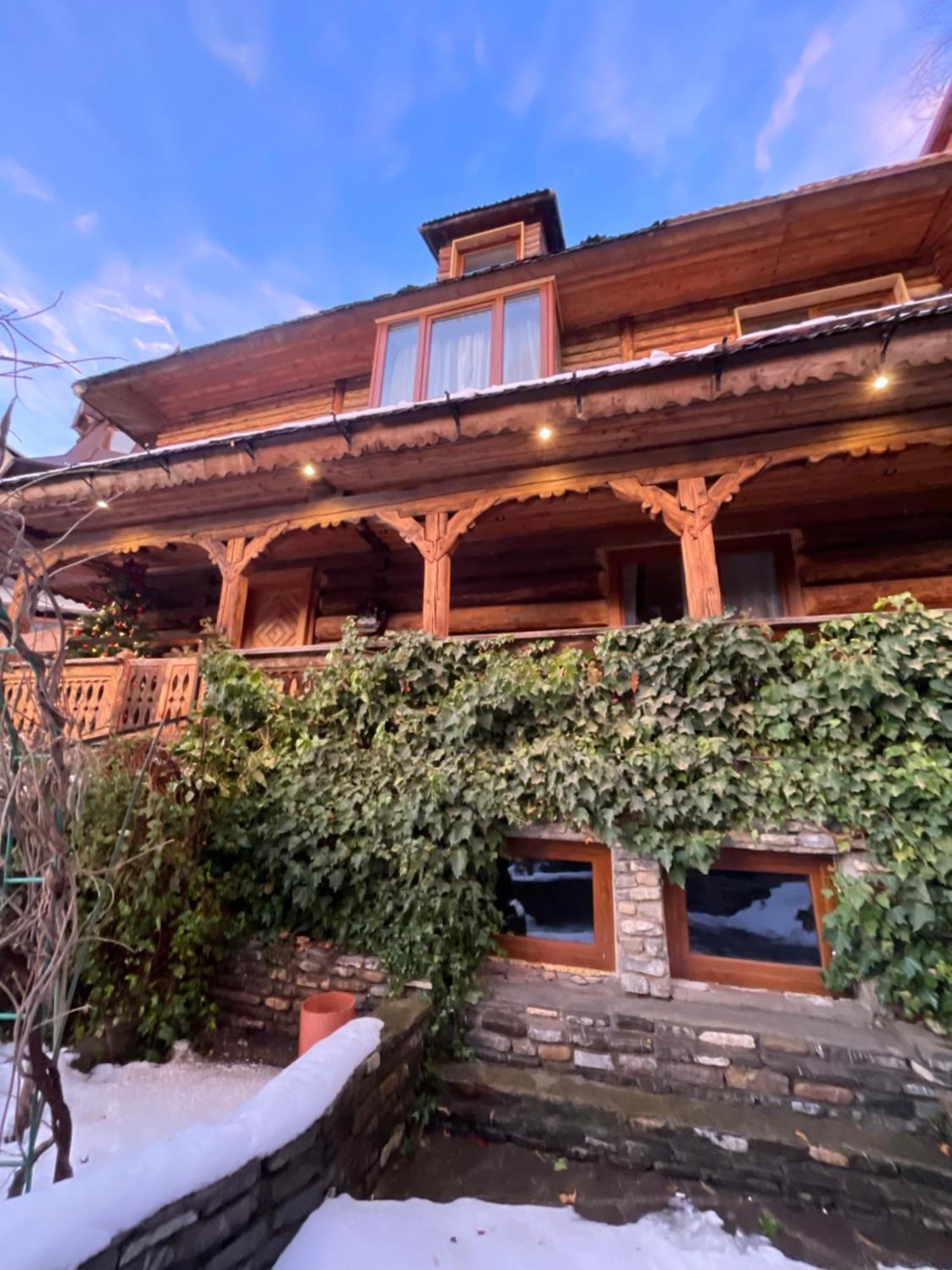 Cedru - Catun * Sinaia