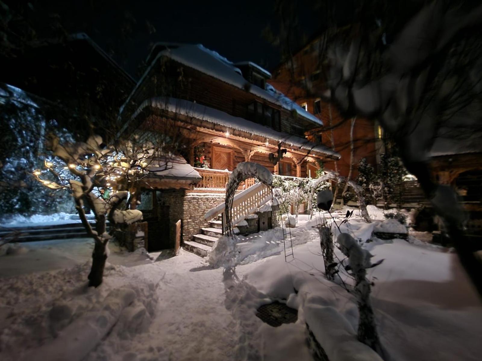 Cedru - Catun Sinaia